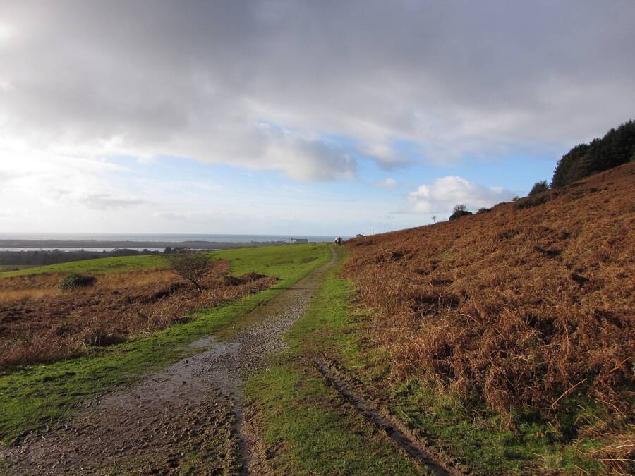 Wales'teki Bir Parkın Altında Bulunan Antik Roma Villası